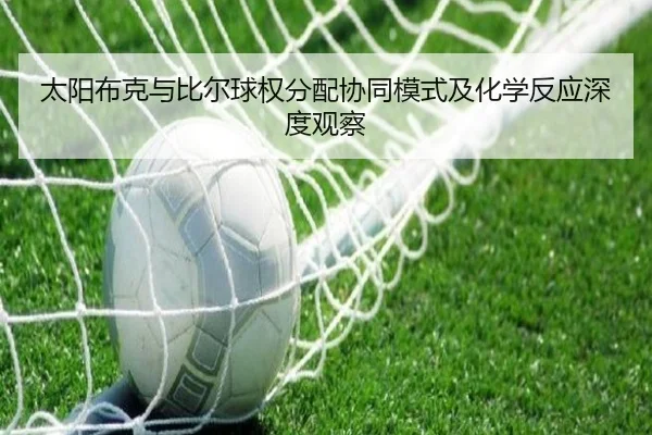 太阳布克与比尔球权分配协同模式及化学反应深度观察